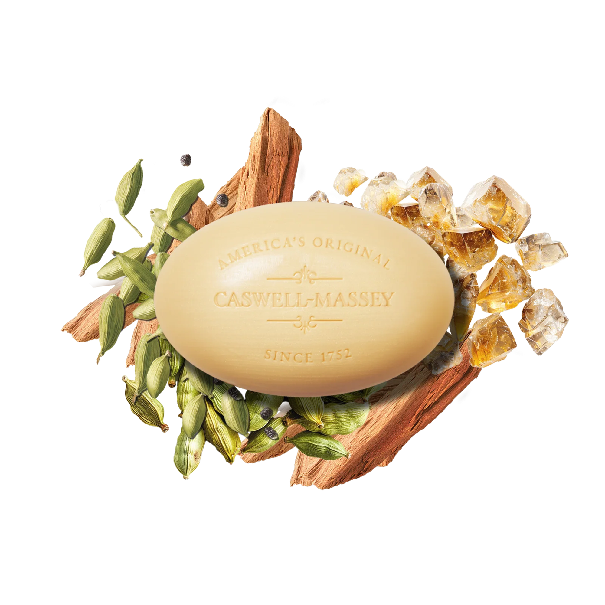 2571 バーソープ