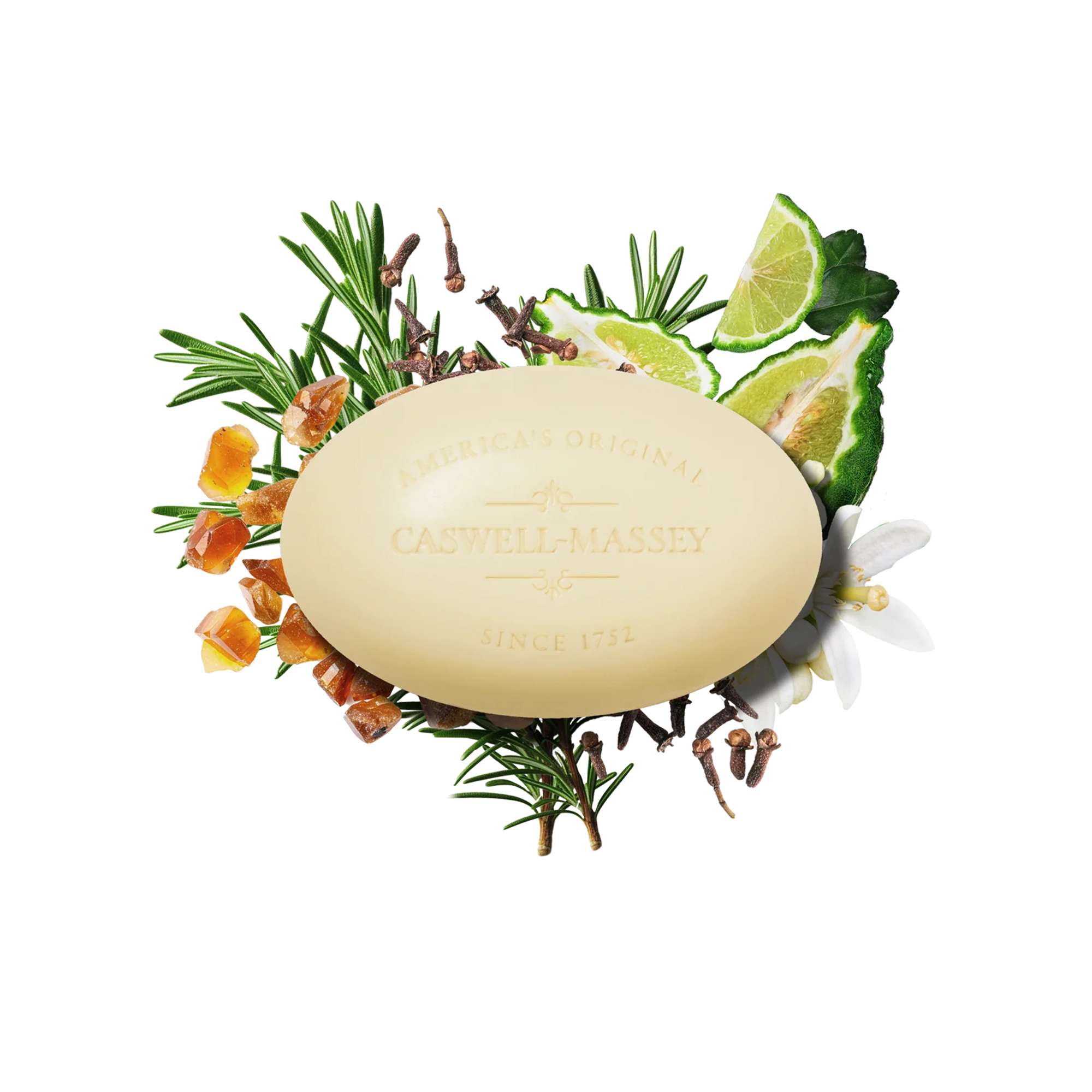 ナンバーシックス バーソープ