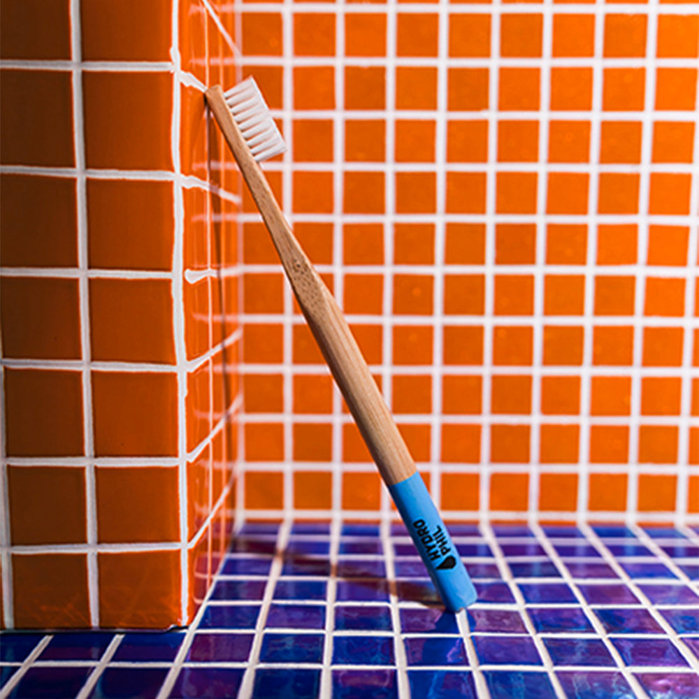 トゥースブラシ クラシック ミディアム（アトランティックオーシャン）