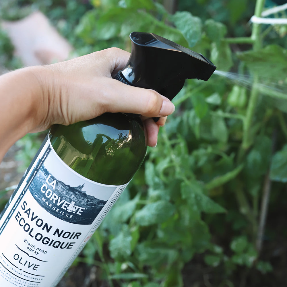 サボン・ノワール・ナチュレ オリーブ