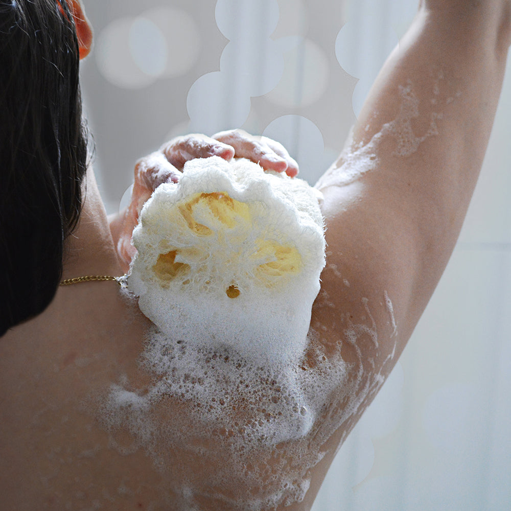 ナチュラルルーファースポンジ ラージ