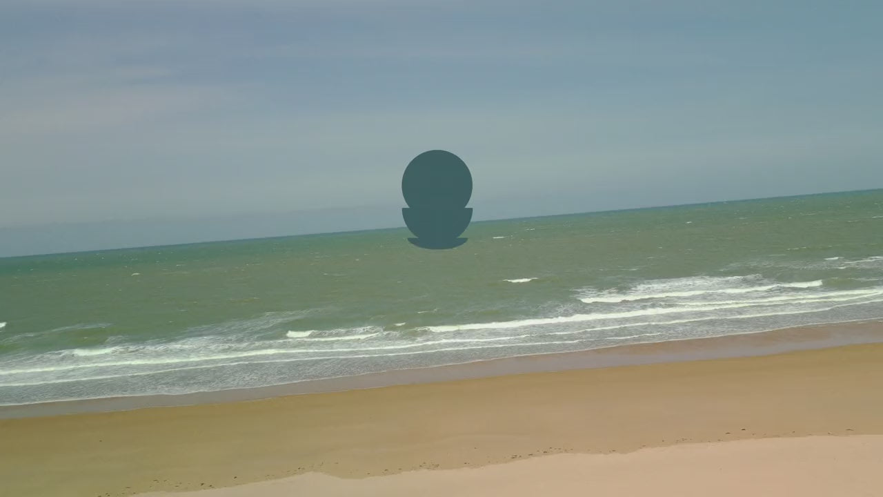 ビデオをロード: 